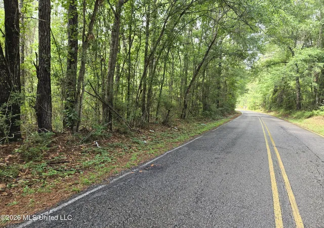 3rd image of Harry Sones Rd, Carriere, MS 39426 | MLS# 4150598