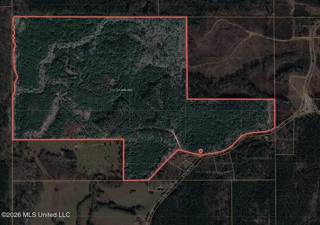 Homes for sale in Raleigh, MS | 0 S Co Rd 119, Raleigh, MS 39153 | MLS# 4150455