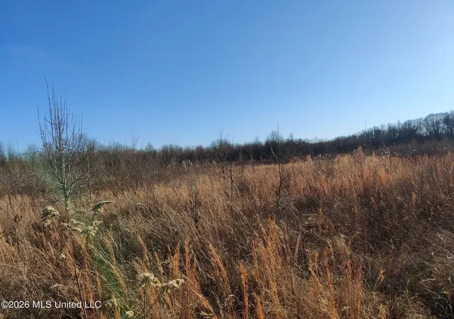 1st image of Miller Road, Olive Branch, MS 38654 | MLS# 4150488
