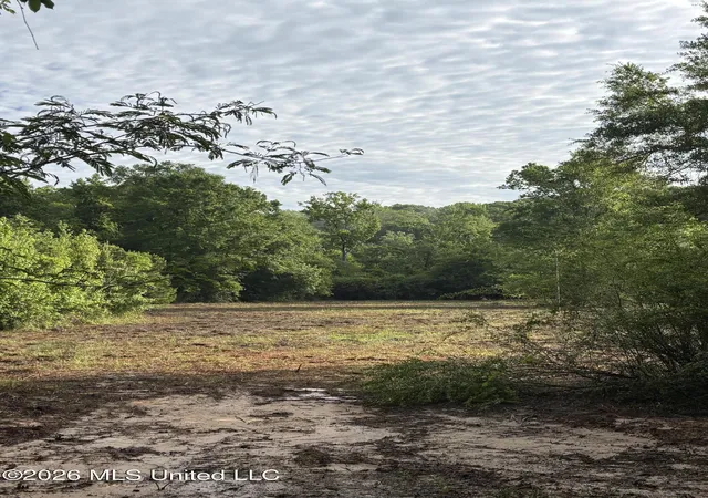 Homes for sale in Camden, MS | 672-A31 Hines Rd, Camden, MS 39045 | MLS# 4150984