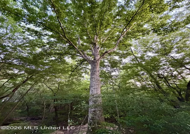 Homes for sale in Brookhaven, MS | California Rd, Brookhaven, MS 39601 | MLS# 4150553