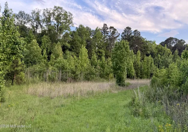 Homes for sale in Brookhaven, MS | California Rd, Brookhaven, MS 39601 | MLS# 4150553