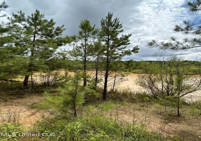 Homes for sale in Florence, MS | 916 White Rd, Florence, MS 39073 | MLS# 4150592