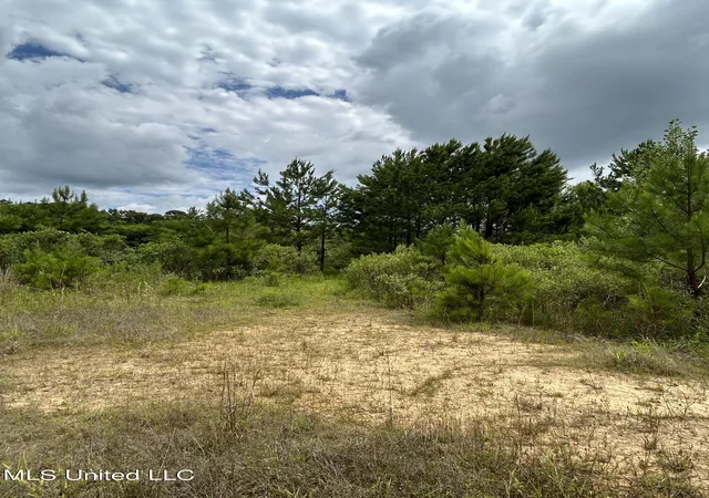Homes for sale in Florence, MS | 916 White Rd, Florence, MS 39073 | MLS# 4150592
