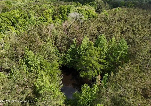 5th image of 5171 Coxs Ferry Rd, Bolton, MS 39041 | MLS# 4150621