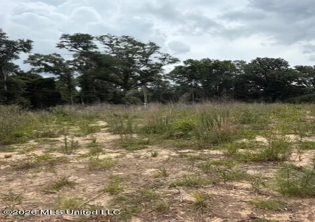 5th image of 143 Mill Creek Ln, Lucedale, MS 39452 | MLS# 4150662