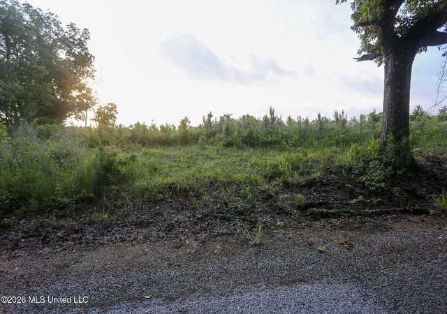 Homes for sale in Mendenhall, MS | Oak Grove Rd, Mendenhall, MS 39114 | MLS# 4150683