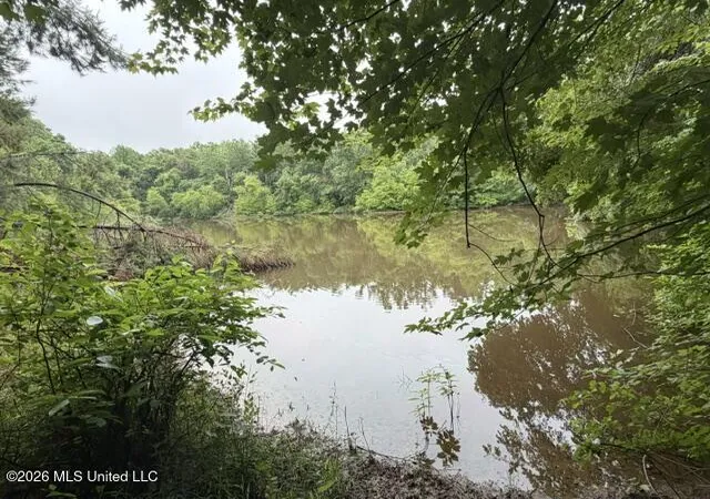 Homes for sale in Potts Camp, MS | 0 Broadway Rd, Potts Camp, MS 38659 | MLS# 4153204
