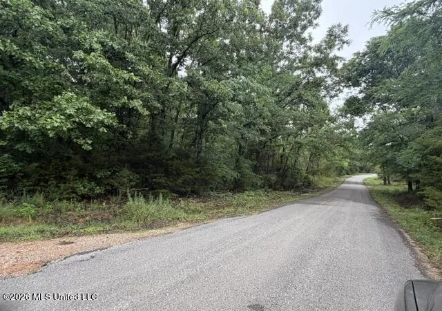 Homes for sale in Potts Camp, MS | 0 Broadway Rd, Potts Camp, MS 38659 | MLS# 4153204