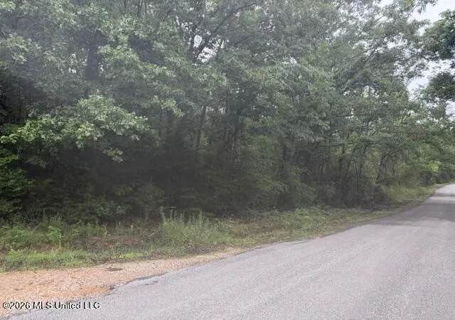 Homes for sale in Potts Camp, MS | 0 Broadway Rd, Potts Camp, MS 38659 | MLS# 4153204