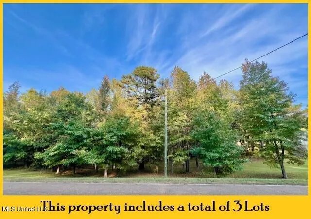 Homes for sale in Oakland, MS | 1810 County Road 170, Oakland, MS 38948 | MLS# 4150777