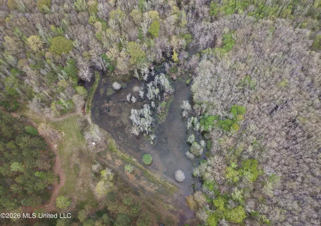 1st image of 50556 Greenwood Springs Rd, Greenwood Springs, MS 38848 | MLS# 4150826