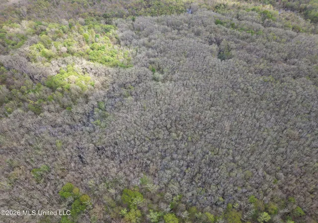 3rd image of 50556 Greenwood Springs Rd, Greenwood Springs, MS 38848 | MLS# 4150826
