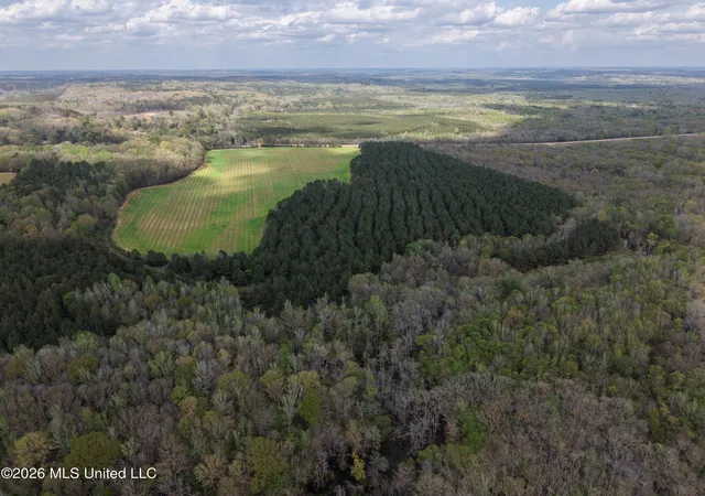 4th image of 50556 Greenwood Springs Rd, Greenwood Springs, MS 38848 | MLS# 4150826