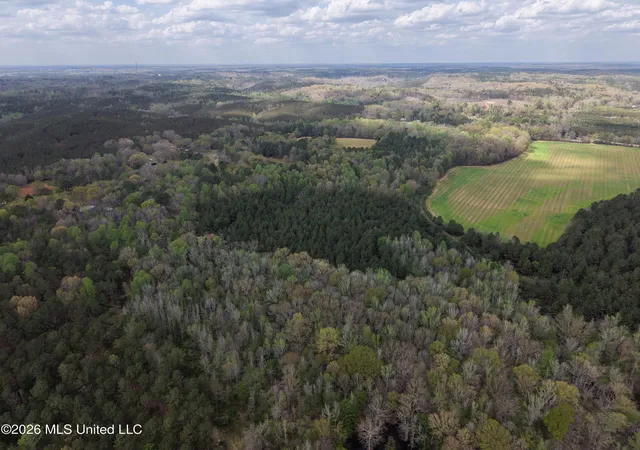 5th image of 50556 Greenwood Springs Rd, Greenwood Springs, MS 38848 | MLS# 4150826