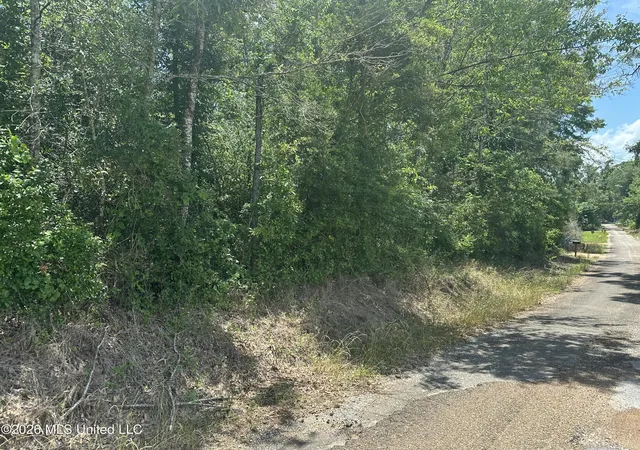 Homes for sale in Magnolia, MS | Smiley Honea Rd, Magnolia, MS 39652 | MLS# 4150877