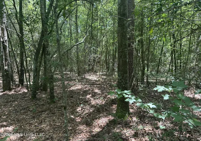 Homes for sale in Magnolia, MS | Smiley Honea Rd, Magnolia, MS 39652 | MLS# 4150877