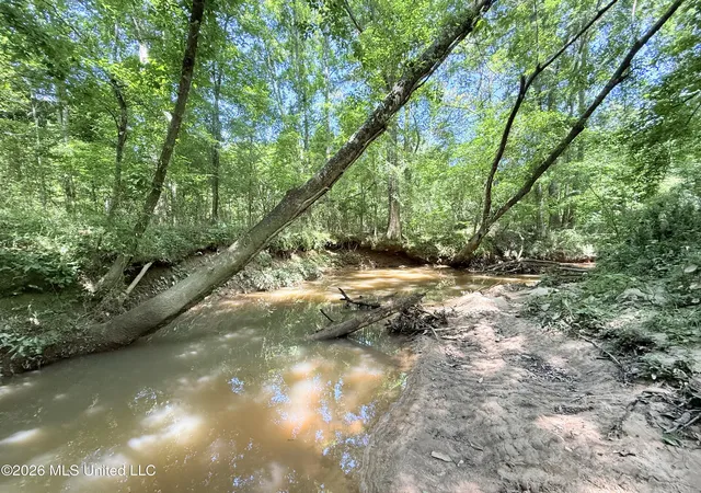 Homes for sale in Smithdale, MS | Jackson Liberty Dr, Smithdale, MS 39664 | MLS# 4151236