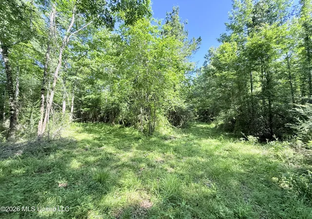 Homes for sale in Smithdale, MS | Jackson Liberty Dr, Smithdale, MS 39664 | MLS# 4151236