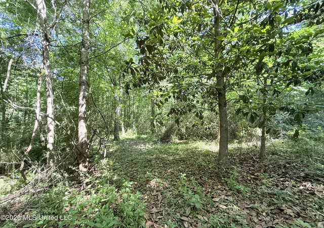 Homes for sale in Smithdale, MS | Jackson Liberty Dr, Smithdale, MS 39664 | MLS# 4151236