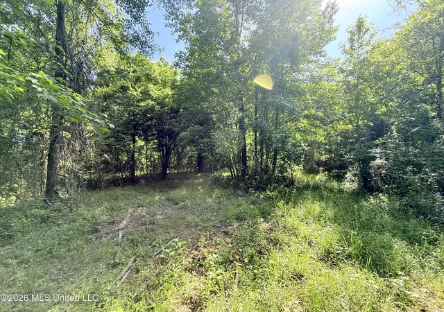 Homes for sale in Smithdale, MS | Jackson Liberty Dr, Smithdale, MS 39664 | MLS# 4151236