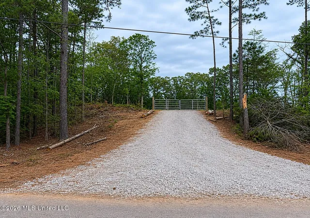 Homes for sale in Camden, MS | 0 Shrock Rd, Camden, MS 39045 | MLS# 4151198