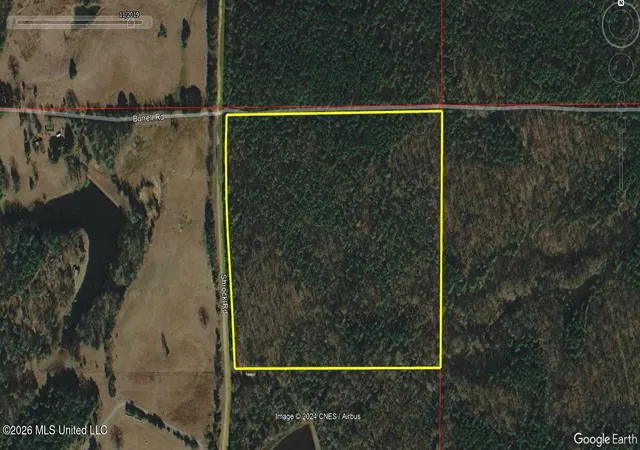 Homes for sale in Camden, MS | 0 Shrock Rd, Camden, MS 39045 | MLS# 4151198