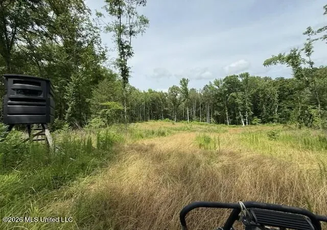 Homes for sale in Camden, MS | 0 Shrock Rd, Camden, MS 39045 | MLS# 4151198