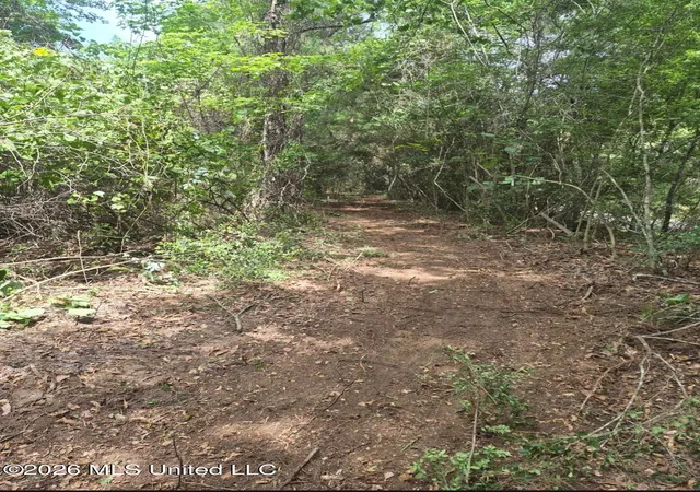 Photo 3 of Land for sale at 1 Acre Charlie Daughdrill Rd, Carriere, MS 39426 | MLS# 4150979 | Listing updated on 2026-08-04