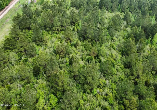 16th image of 6211 Wesley Powell Rd, Lucedale, MS 39452 | MLS# 4151090