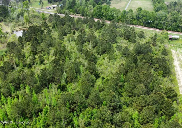 4th image of 6211 Wesley Powell Rd, Lucedale, MS 39452 | MLS# 4151090
