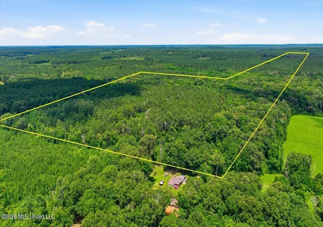 Homes for sale in Forest, MS | Blackwell Dr, Forest, MS 39074 | MLS# 4152770