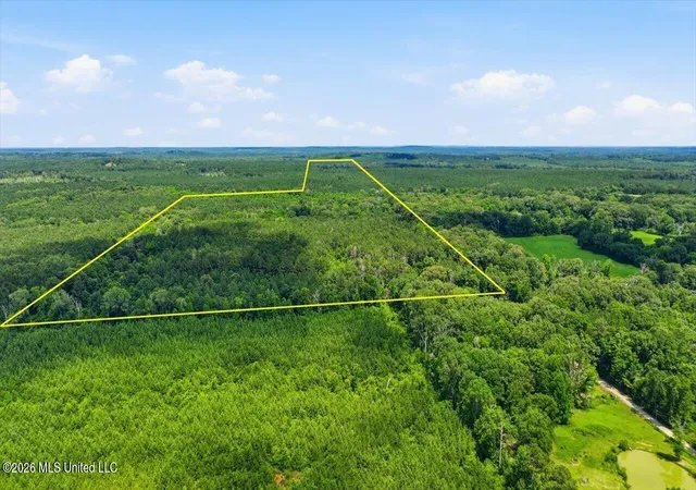 Homes for sale in Forest, MS | Blackwell Dr, Forest, MS 39074 | MLS# 4152770