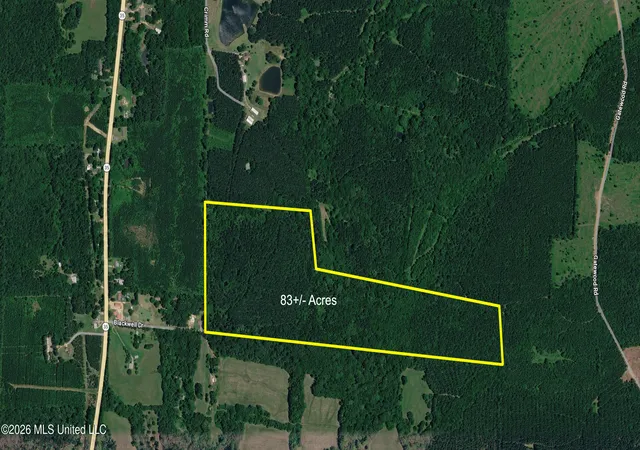 Homes for sale in Forest, MS | Blackwell Dr, Forest, MS 39074 | MLS# 4152770