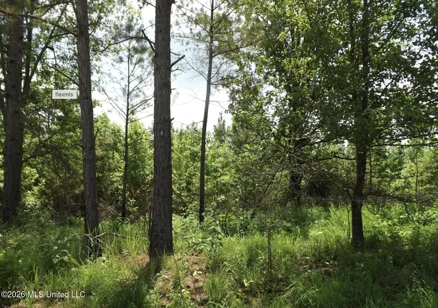 Homes for sale in Lexington, MS | Randletown Rd, Lexington, MS 39095 | MLS# 4151173