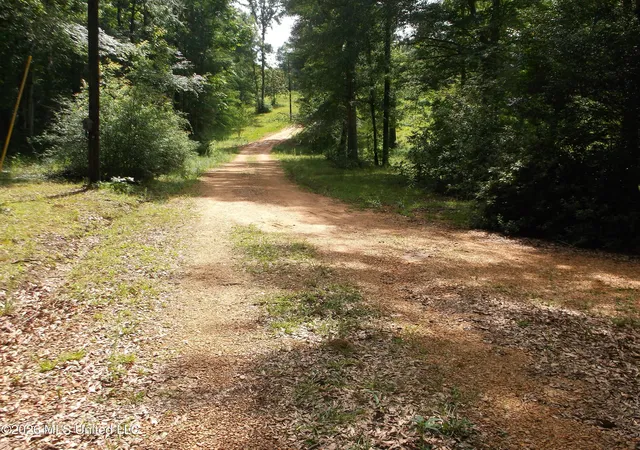 Homes for sale in Summit, MS | 1090 Moak Rd, Summit, MS 39666 | MLS# 4152059