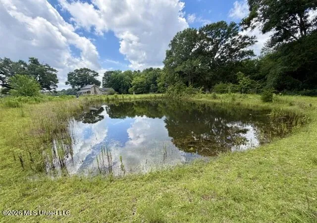 Homes for sale in Tylertown, MS | 18 Easley Fortenberry Rd, Tylertown, MS 39667 | MLS# 4151504