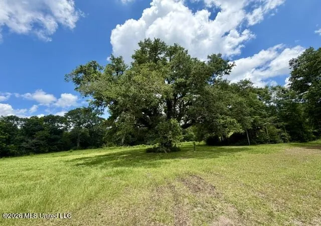 Homes for sale in Tylertown, MS | 18 Easley Fortenberry Rd, Tylertown, MS 39667 | MLS# 4151504