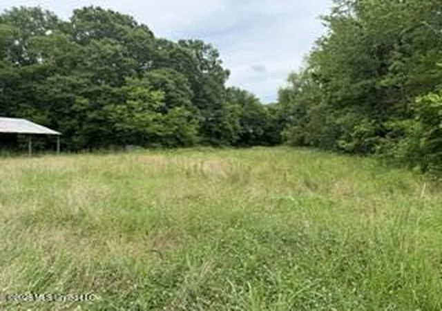 Homes for sale in Lena, MS | Hwy 13, Lena, MS 39094 | MLS# 4151256