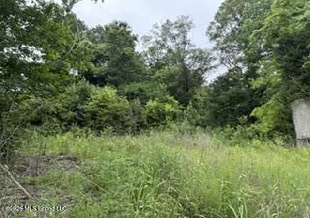 Homes for sale in Lena, MS | Hwy 13, Lena, MS 39094 | MLS# 4151256