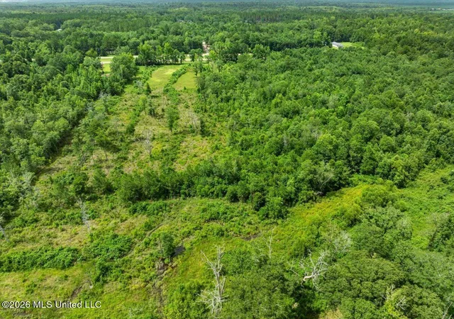 Homes for sale in New Augusta, MS | Hwy 98 Hwy, New Augusta, MS 39462 | MLS# 4151329