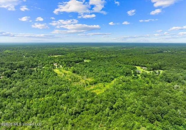 Homes for sale in New Augusta, MS | Hwy 98 Hwy, New Augusta, MS 39462 | MLS# 4151329