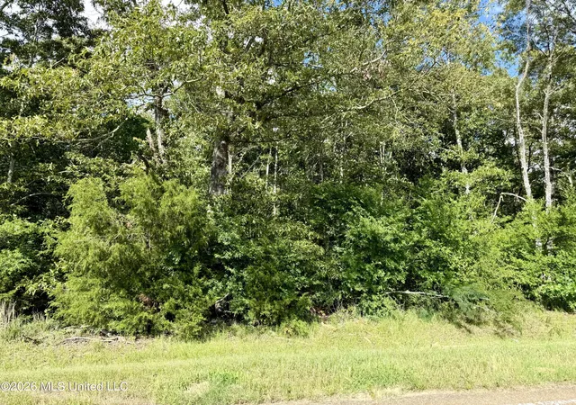 Homes for sale in Lexington, MS | Ebenezer Pickens Rd Rd, Lexington, MS 39095 | MLS# 4151282