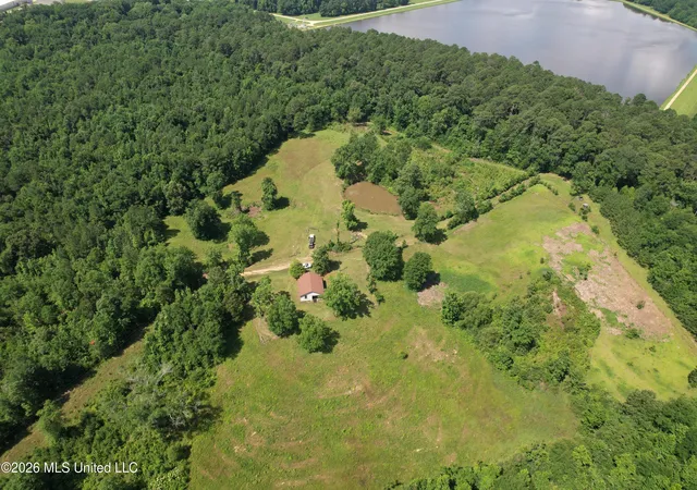 Homes for sale in Silver Creek, MS | 91 Levester Smith Ln, Silver Creek, MS 39663 | MLS# 4151335