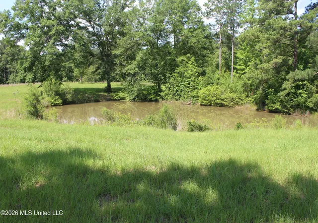 Homes for sale in Silver Creek, MS | 91 Levester Smith Ln, Silver Creek, MS 39663 | MLS# 4151335