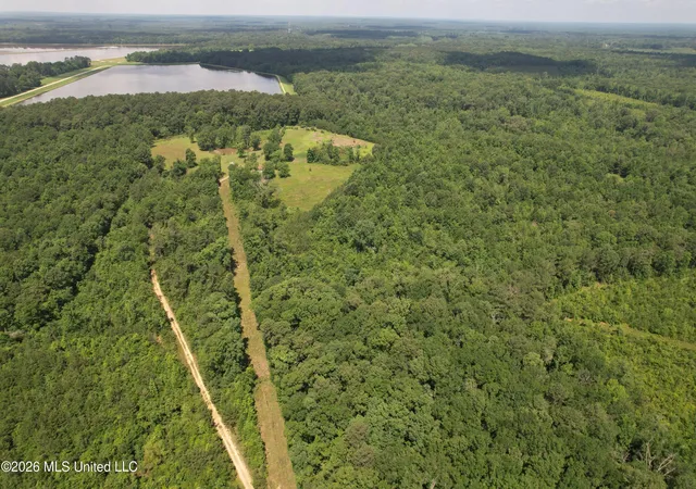 Homes for sale in Silver Creek, MS | 91 Levester Smith Ln, Silver Creek, MS 39663 | MLS# 4151335