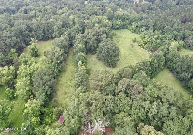 Homes for sale in Summit, MS | 1015 Hwy 51, Summit, MS 39666 | MLS# 4151593