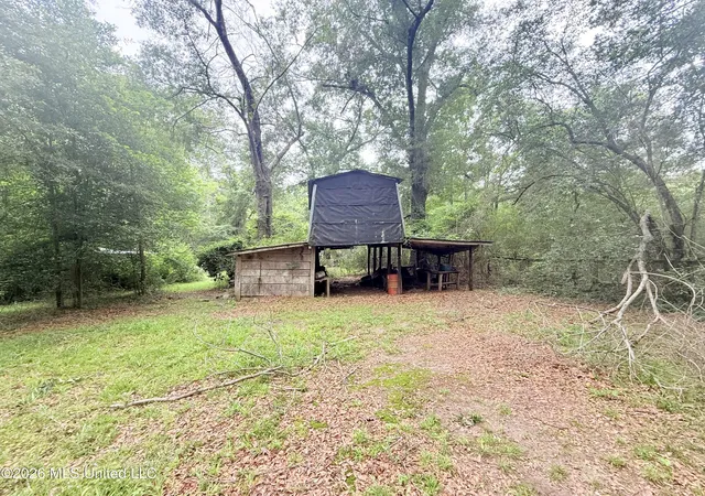 Homes for sale in Summit, MS | 1015 Hwy 51, Summit, MS 39666 | MLS# 4151593