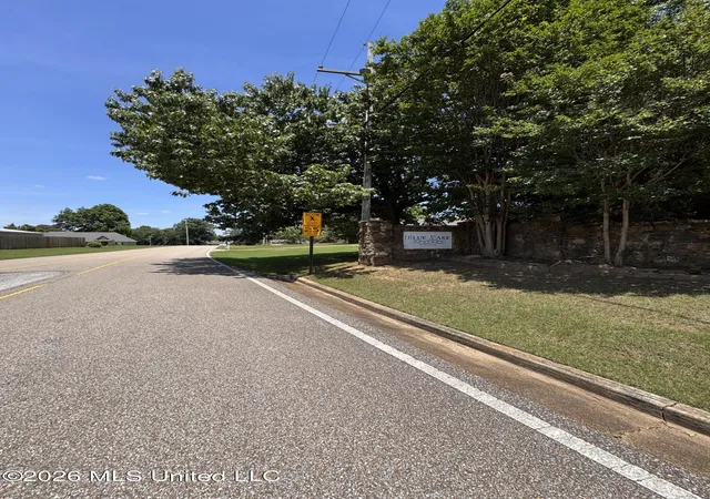 Homes for sale in Lake Cormorant, MS | 10533 Spring River Cvs, Lake Cormorant, MS 38641 | MLS# 4151594