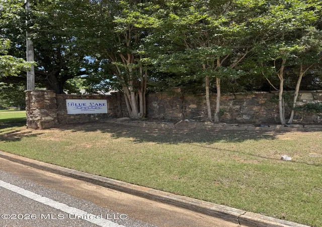 Homes for sale in Lake Cormorant, MS | 10533 Spring River Cvs, Lake Cormorant, MS 38641 | MLS# 4151594